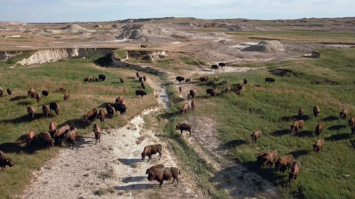 A still from My Name Means Future (2020) by Andrea Bowers showing a site sacred to the Lakota tribe Courtesy of Andrew Kreps