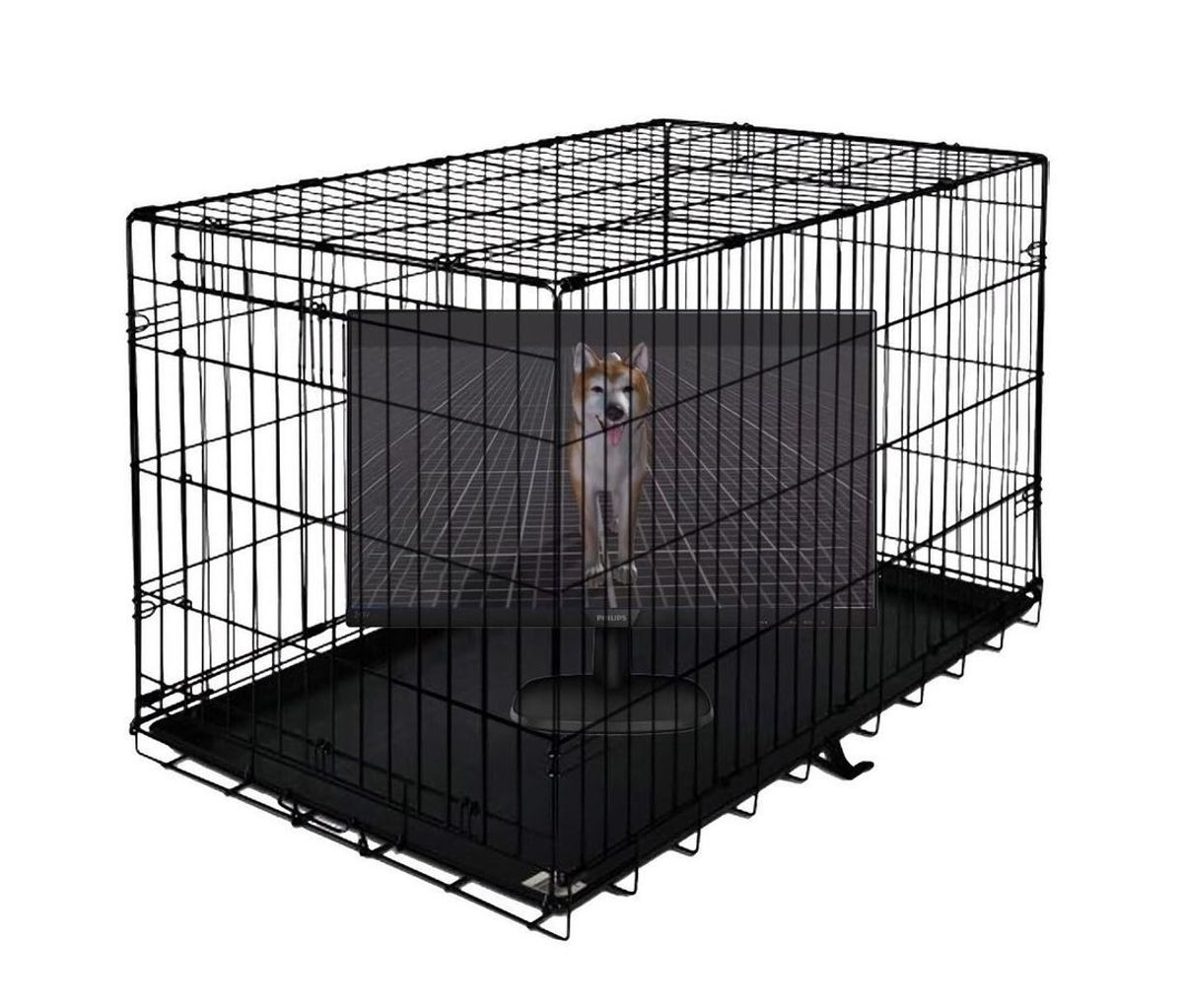 A virtual pet in Metaverse Petshop (Beta) (2022). Courtesy NowHere, New York.