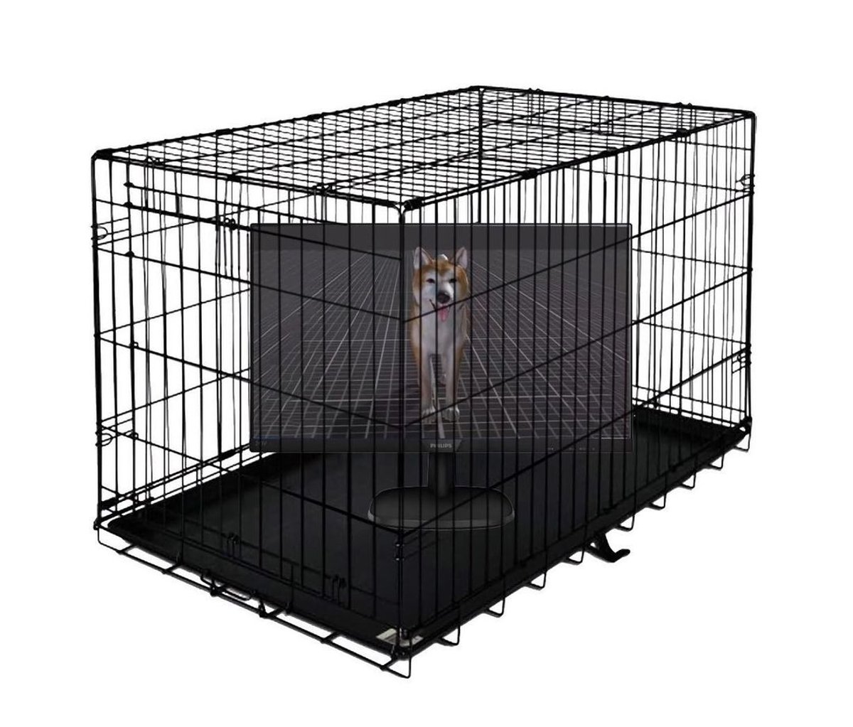 A virtual pet in Metaverse Petshop (Beta) (2022). Courtesy NowHere, New York.