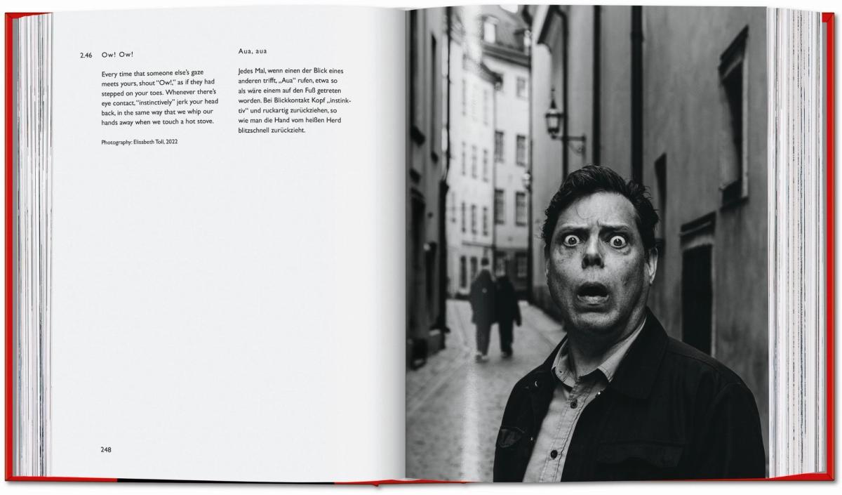 An extract from Carsten Höller. Book of Games, Stefanie Hessler and Hans Ulrich Obrist (editors), Taschen
Courtesy of Taschen