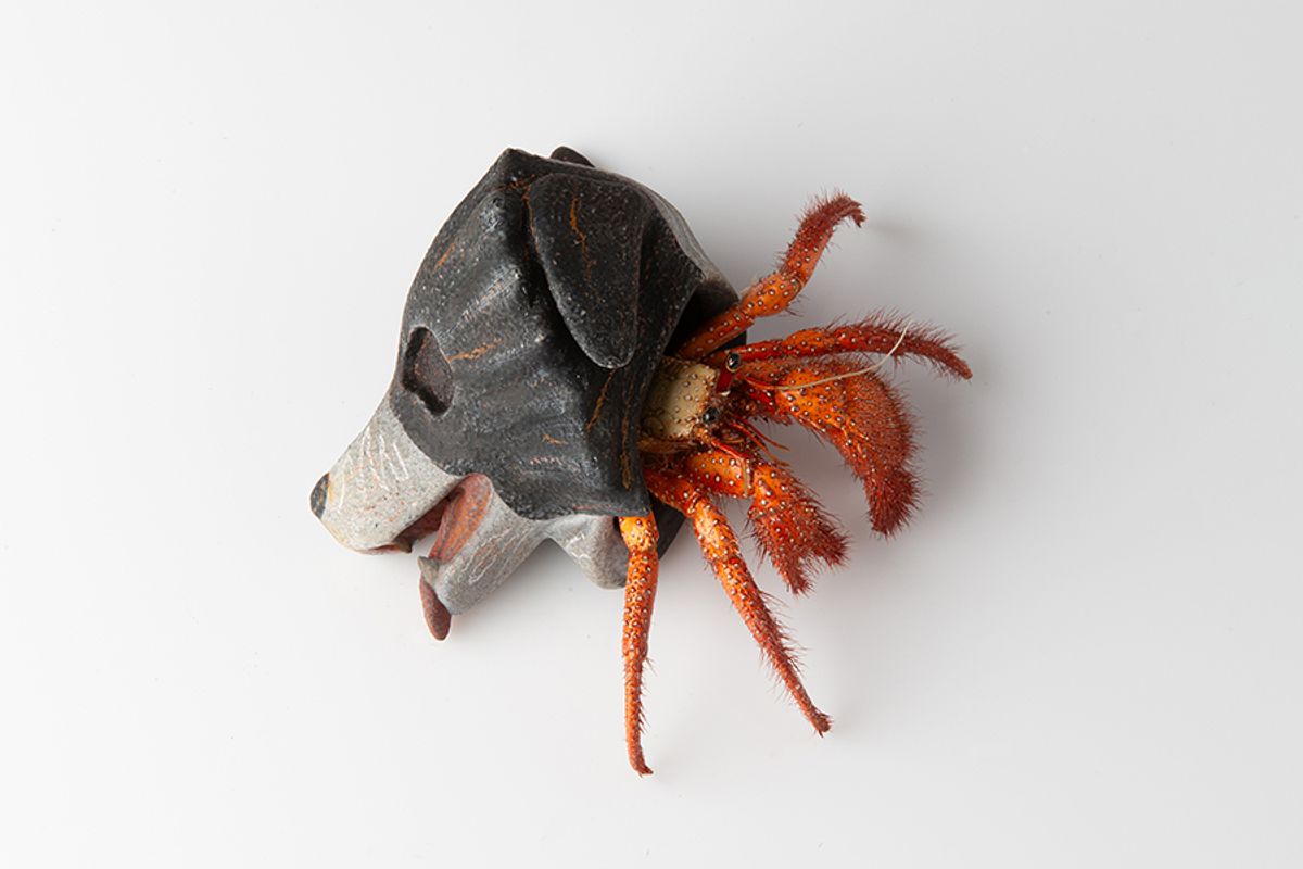 The artist Charles Degeyter stuffs Tatjana Pieters’s stand with taxidermied hermit crabs
Courtesy the artist and Tatjana Pieters Gallery