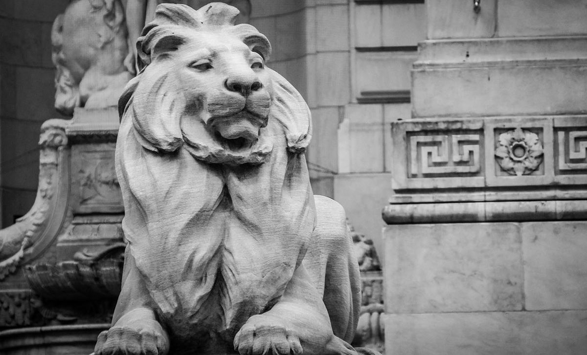 Patience surveys his domain in front of the New York Public Library's Stephen A. Schwarzman Building. Jonathan Blanc /New York Public Library
