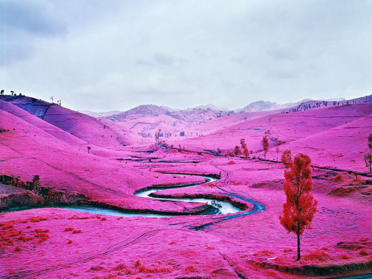 Richard Mosse's Platon, eastern Democratic Republic of Congo (2012). The photo depicts a farm near Bihambwe, Masisi Territory, North Kivu, where the rich pastureland is fiercely fought over in an escalating territorial conflict © Richard Mosse. Collection Jack Shainman