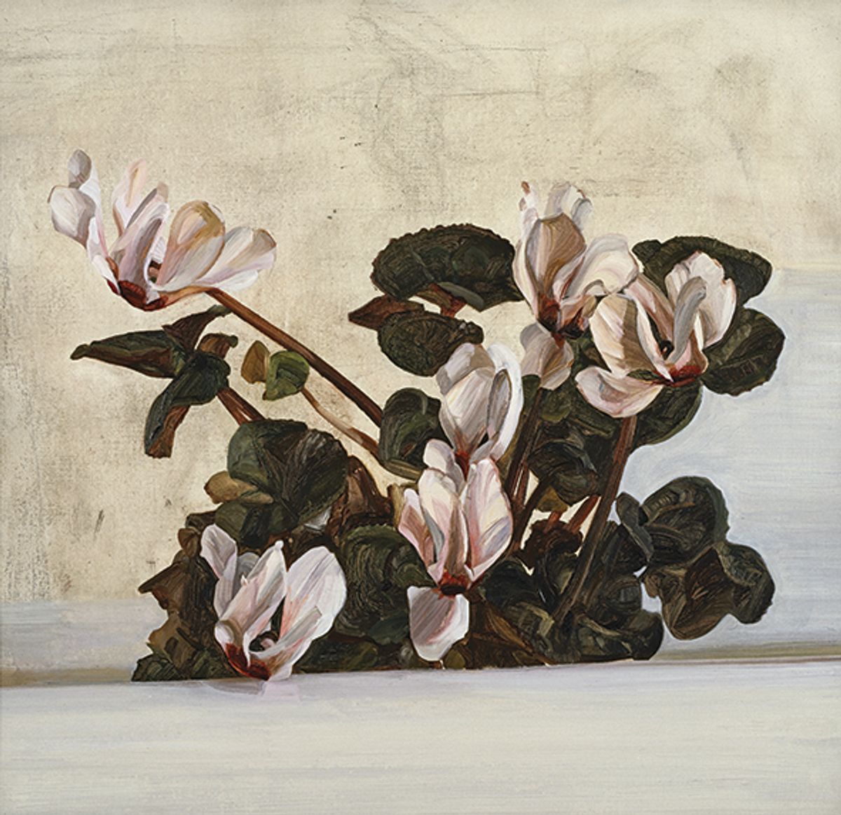 Cyclamen (1964) highlights Lucian Freud’s enduring fondness for the plant © The Lucian Freud Archive / Bridgeman Images