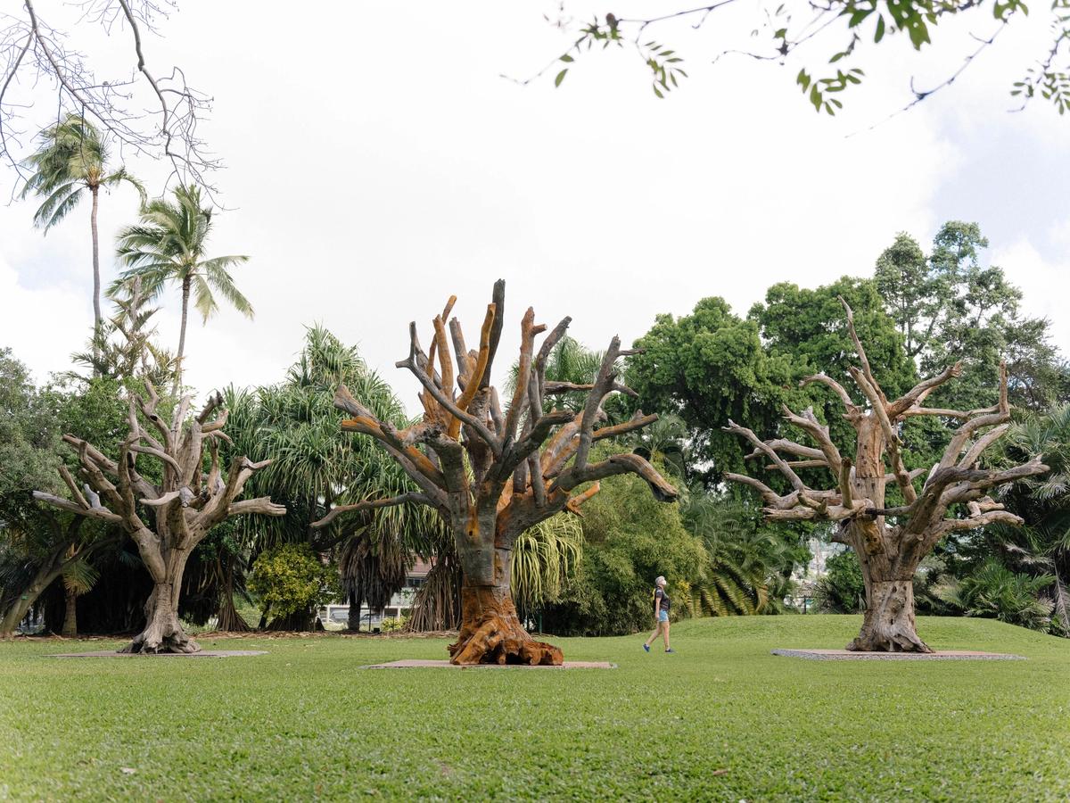 Installation view of Ai Weiwei, Roots (2018-ongoing) Photo: Lila Lee. Courtesy Hawaii Contemporary
