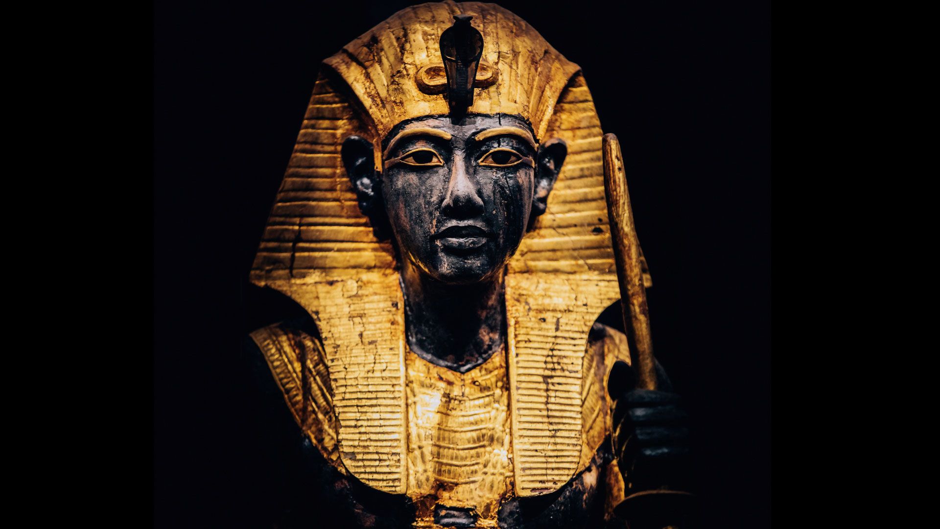 The 150 Tutankhamun artefacts in the touring exhibition include the Guardian statue of the Ka of the king wearing the Nemes headcloth © IMG