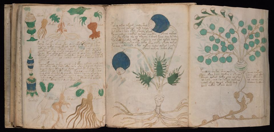 the voynich manuscript decoded