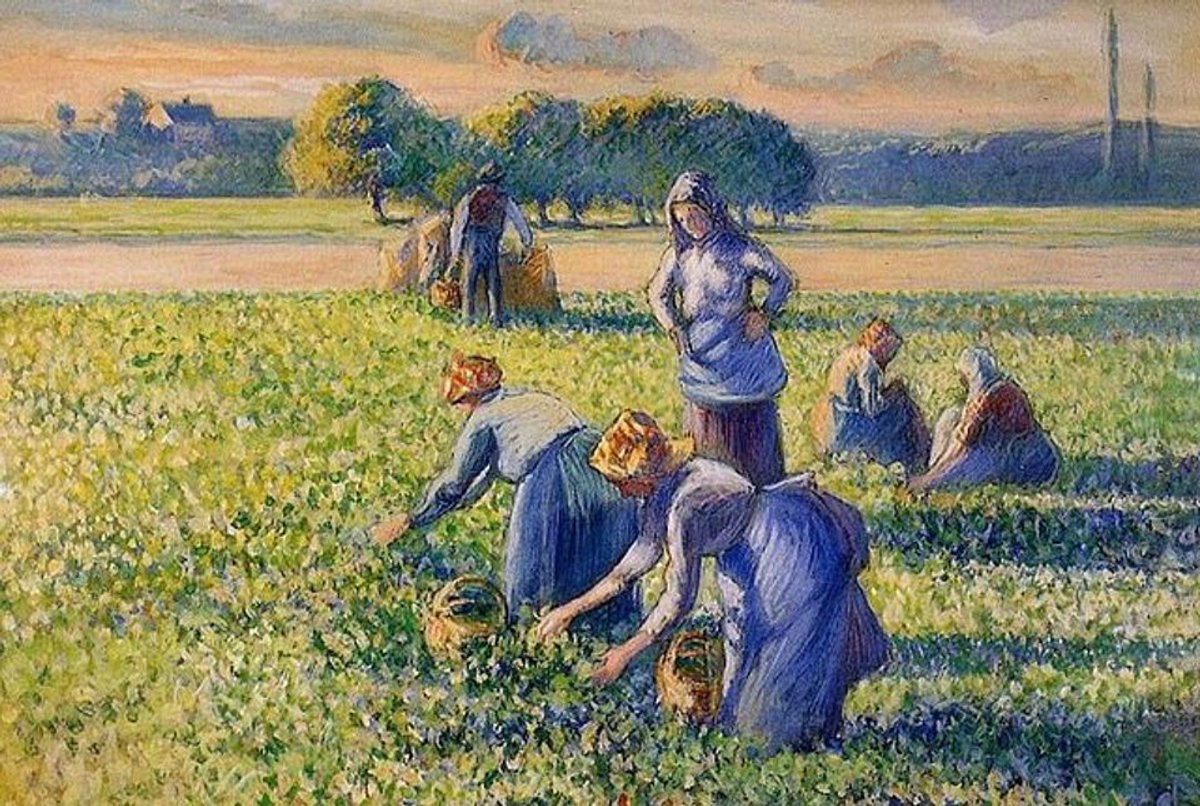 La cueillette des pois (The Pea Harvest, 1887) by Camille Pissarro Public domain via Wikimedia Commons