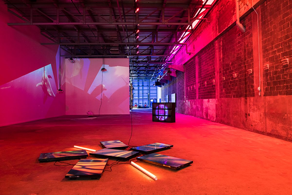 Installation view of Diana Thater's show at the new ICA Watershed Diana Thater; photo: Liza Voll, courtesy the artist and David Zwirner New York/London/Hong Kong