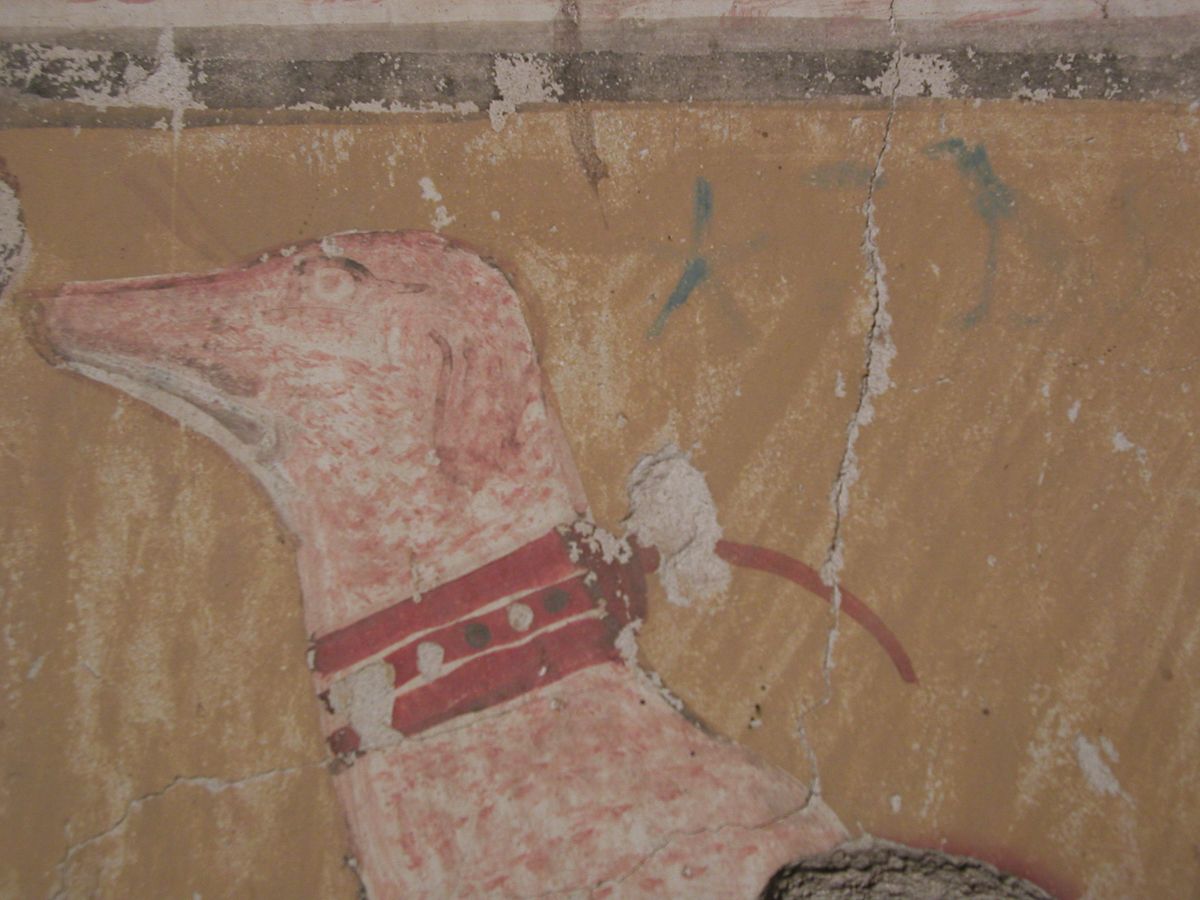 The dog’s painted presence and name meant that he would survive after death

Photo courtesy of J. J. Shirley