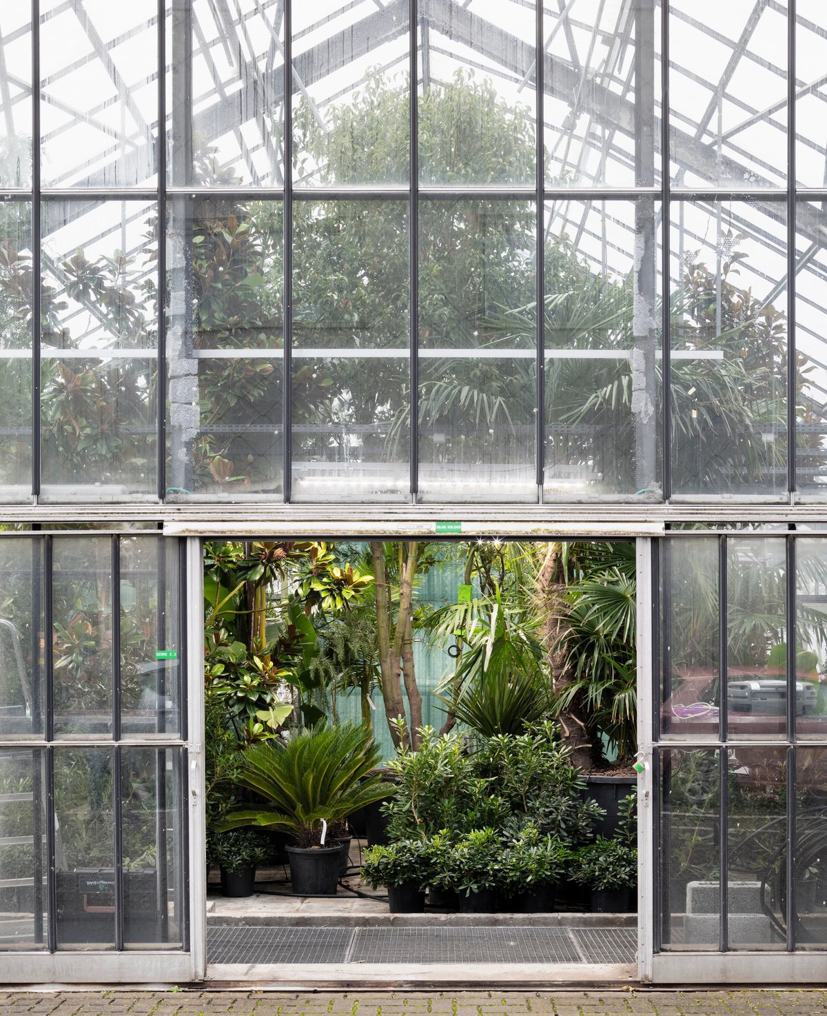 Over 200 plants will be brought into the Belgian pavilion Photo: © Michiel De Cleen