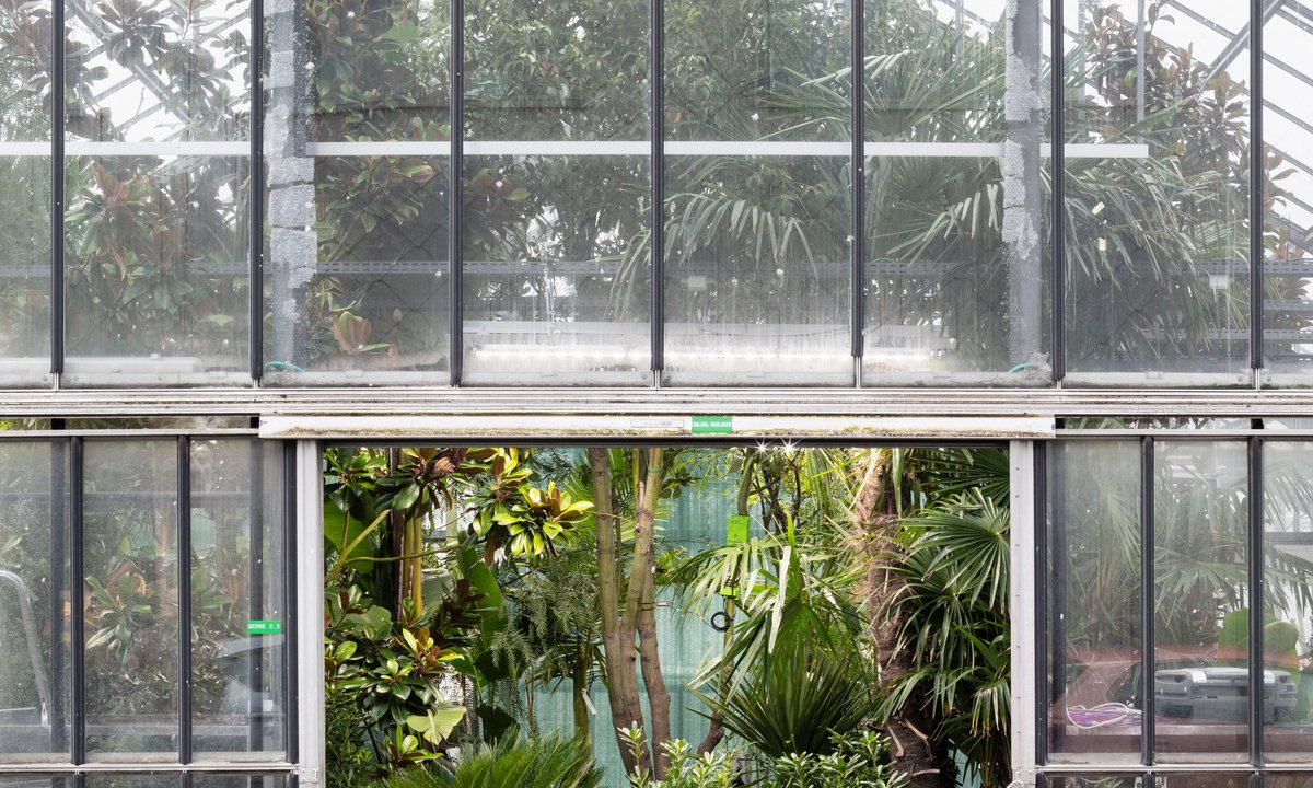 What not to miss at this year’s Venice Architecture Biennale – The Art Newspaper