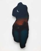 Our pick of the best museum and gallery shows to see in Chicago this spring