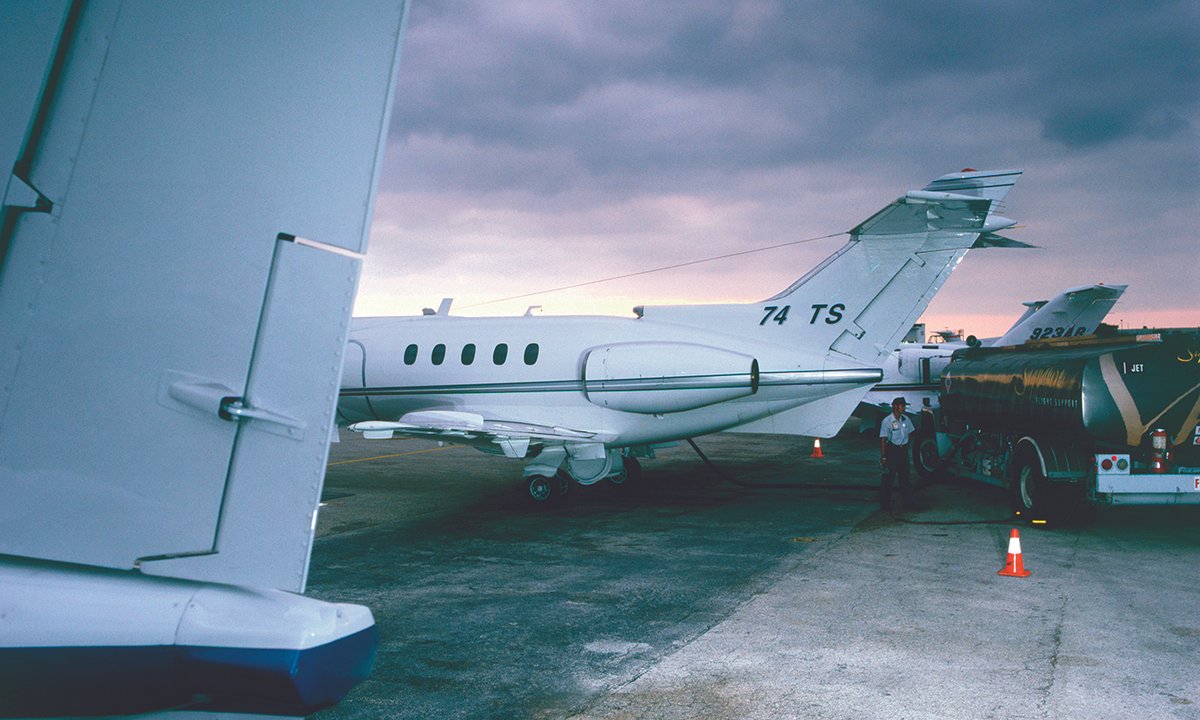 the environmental toll of artwork gala’s the environmental toll of artwork gala’s