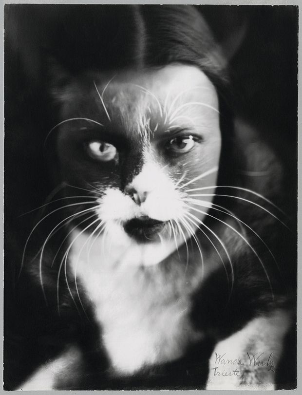 Italian Futurist photographer Wanda Wulz’s I + Cat (1932). Her work is shown alongside that of her sister Marion’s Courtesy of Archivi Alinari-Collezione Zannier, Florence