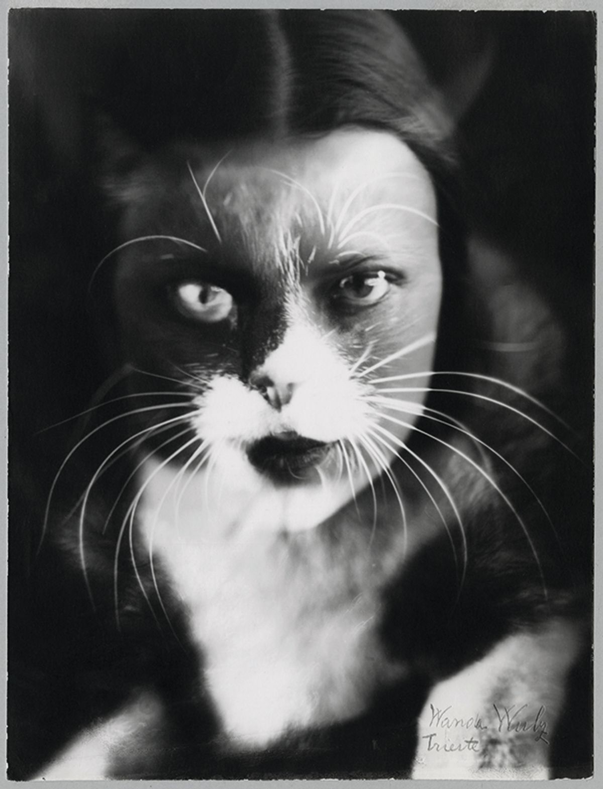 Italian Futurist photographer Wanda Wulz’s I + Cat (1932). Her work is shown alongside that of her sister Marion’s Courtesy of Archivi Alinari-Collezione Zannier, Florence