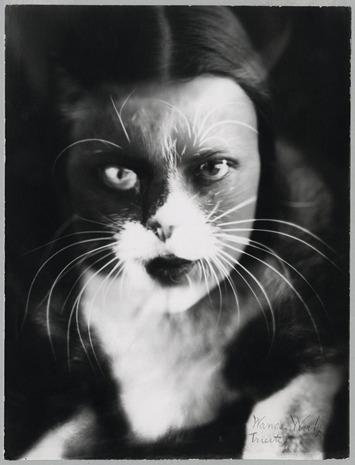 Italian Futurist photographer Wanda Wulz’s I + Cat (1932). Her work is shown alongside that of her sister Marion’s Courtesy of Archivi Alinari-Collezione Zannier, Florence