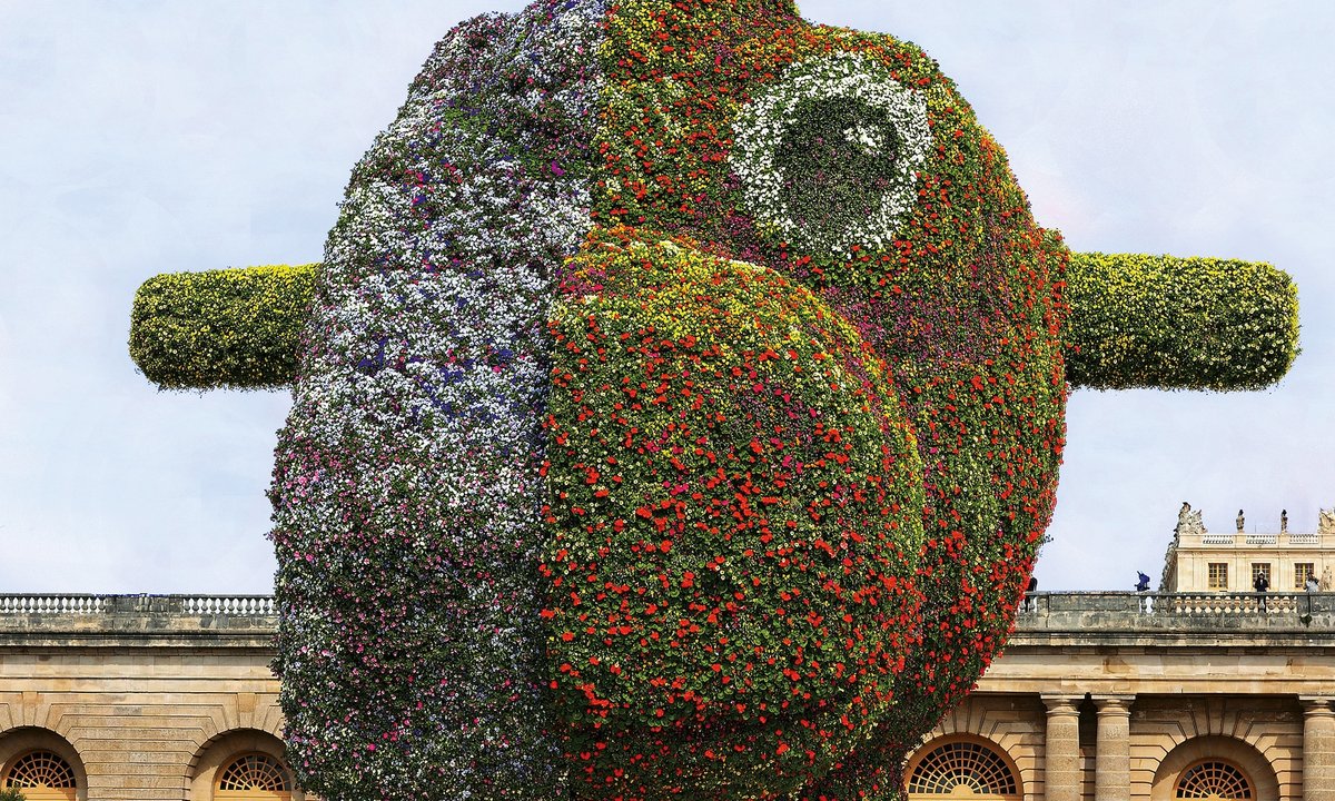 Lacma will plant towering, flowering Jeff Koons sculpture outside new building Lacma will plant towering, flowering Jeff Koons sculpture outside new building