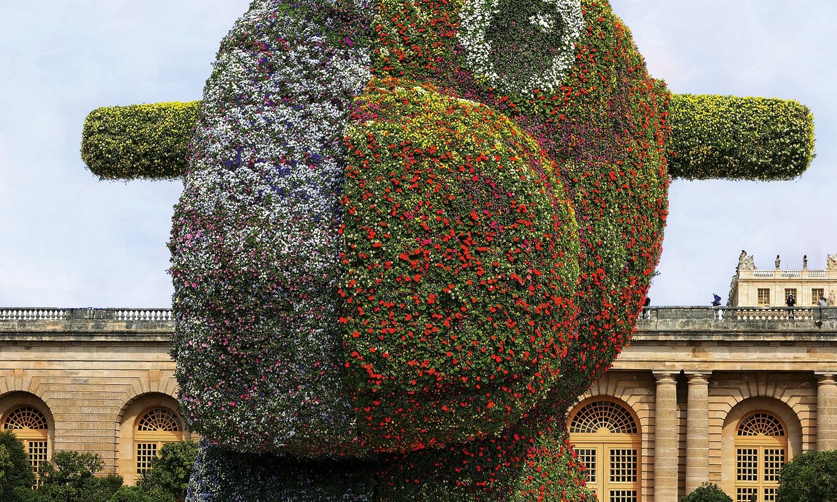 Lacma will plant towering Jeff Koons floral sculpture outside new building