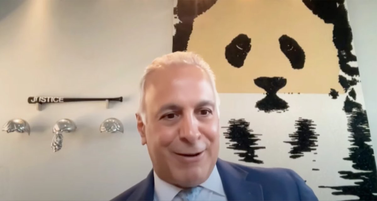 Former Trump advisor Eric Herschmann during testimony on 23 June Screenshot via YouTube