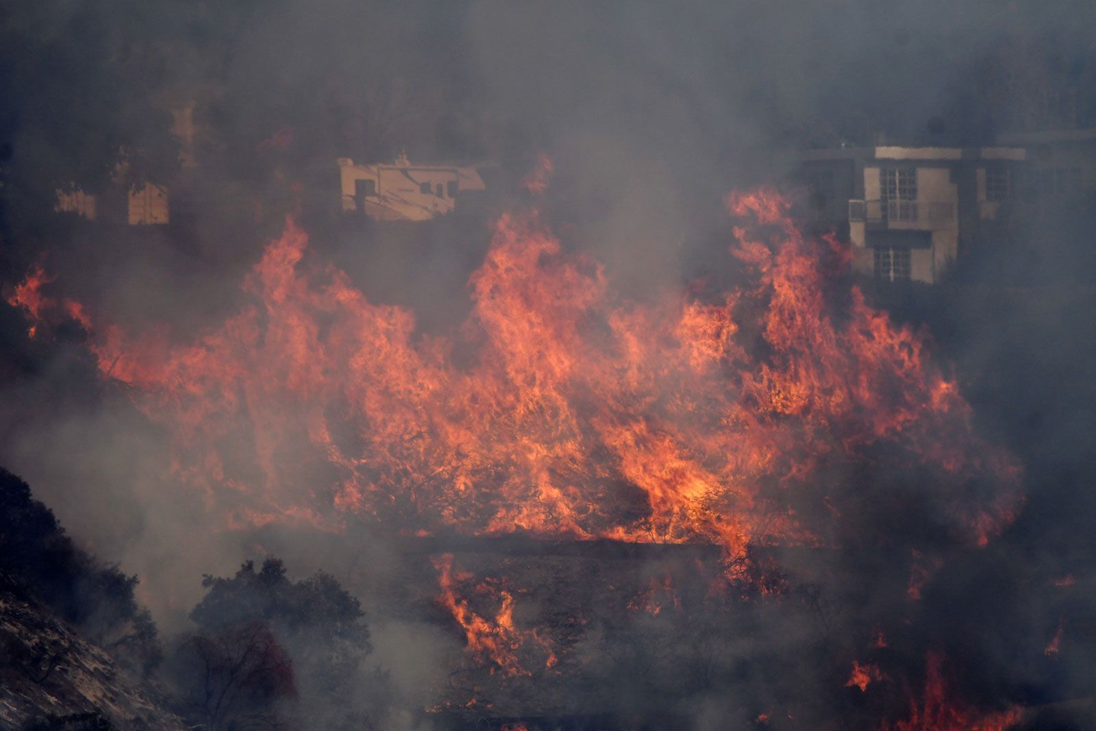 Flames from the "Skirball Fire" spread on a hillside in the west side of Los Angeles, California REUTERS/Gene Blevins