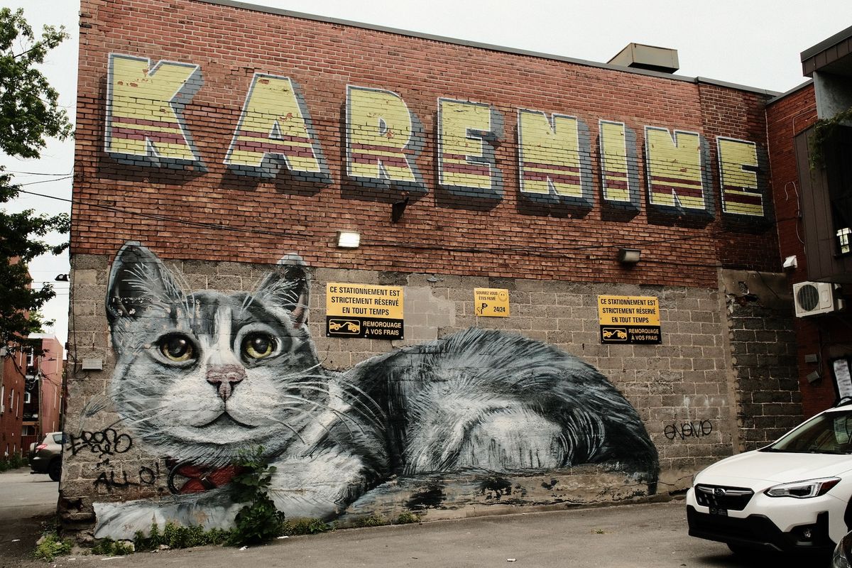 A cat mural on Rue Masson in Montreal Photo: Sylvia Xu