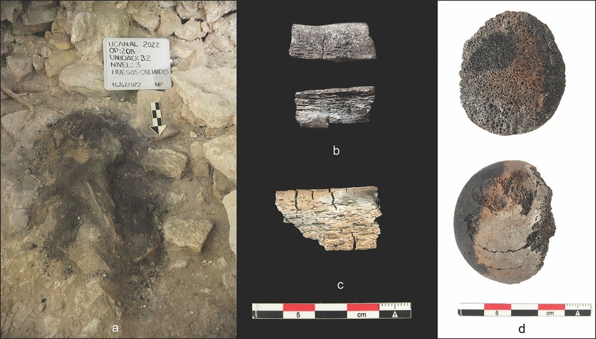 Left: the largest concentration of soot, ash, human bone and ornaments; centre: burnt, cracked and warped long bone fragments; right: partially burnt femoral head fragment Left: photographs by C. Halperin & C. Bello-Hernandez. Centre: photographs by C. Halperin & C. Bello-Hernandez). Right: photograph by C. Bello-Hernandez