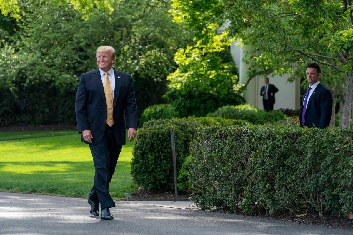 Donald Trump on the South Lawn of the White House in 2019 Photo: Tia Dufour via official White House flickr