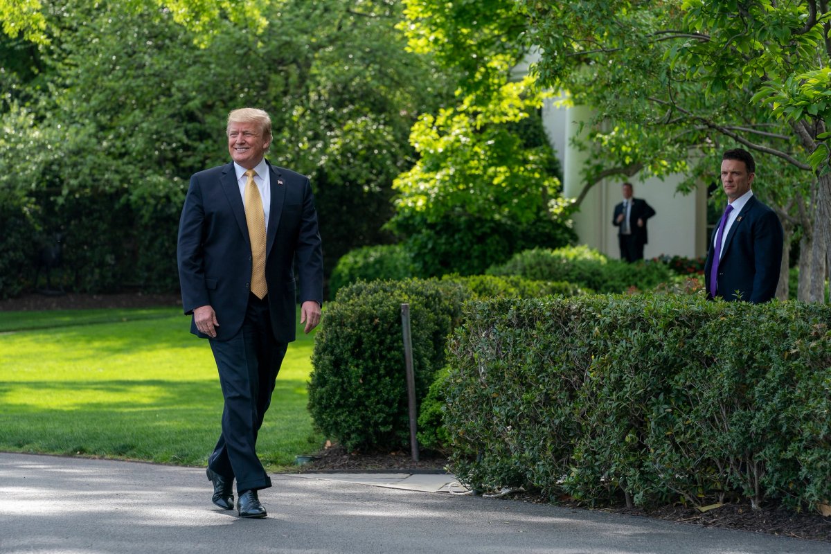 Donald Trump on the South Lawn of the White House in 2019 Photo: Tia Dufour via official White House flickr