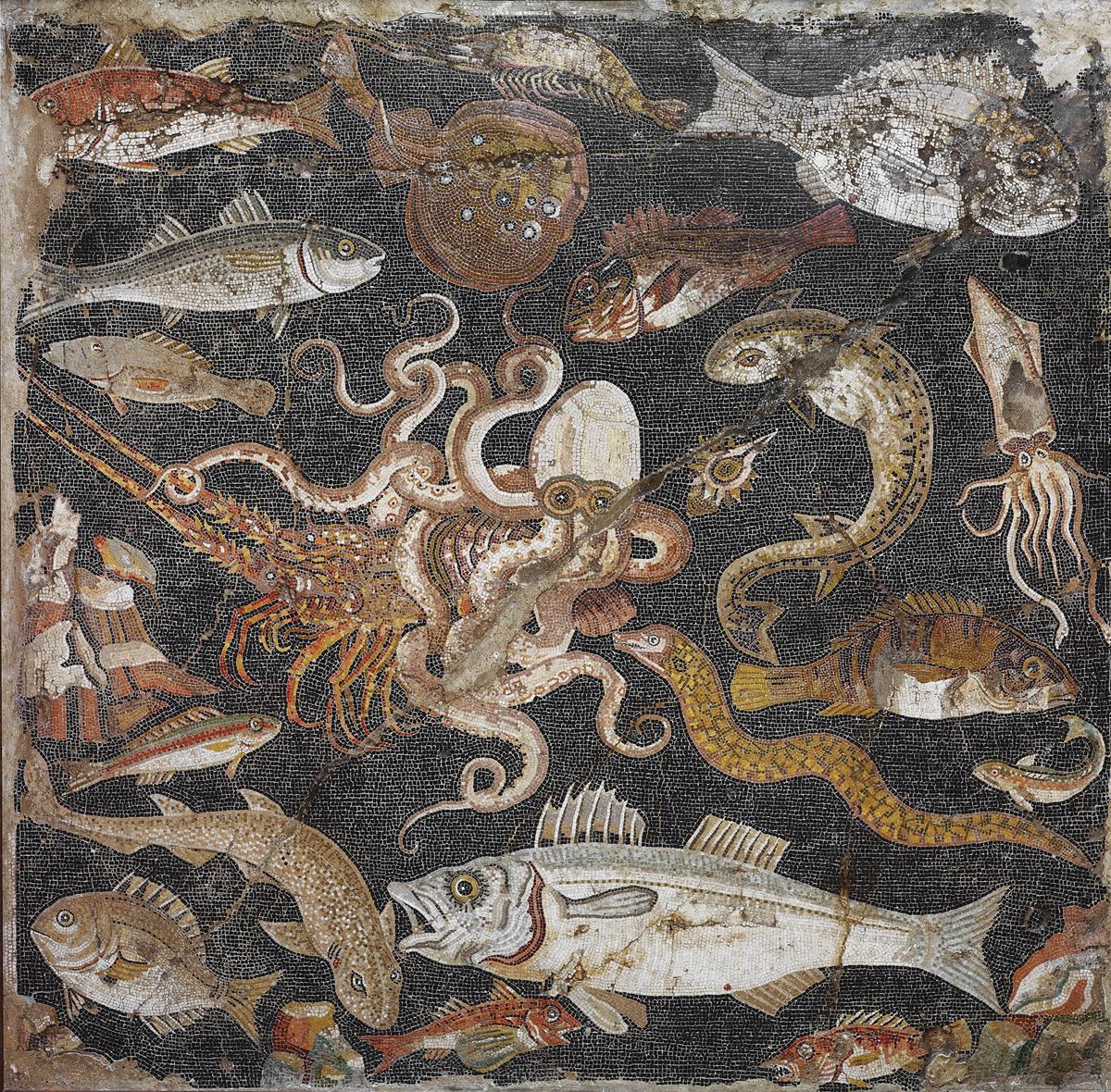 Polychrome mosaic emblema (panel) showing fish and sea creatures (100–1 BC), Pompeii © Museo Archeologico Nazionale di Napoli