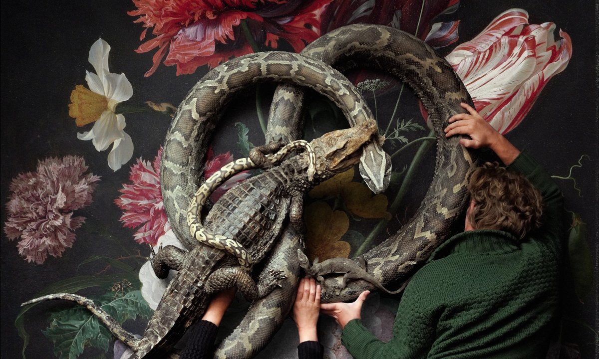 Taxidermists—prized by Damien Hirst—open museum in Amsterdam Taxidermists—prized by Damien Hirst—open museum in Amsterdam