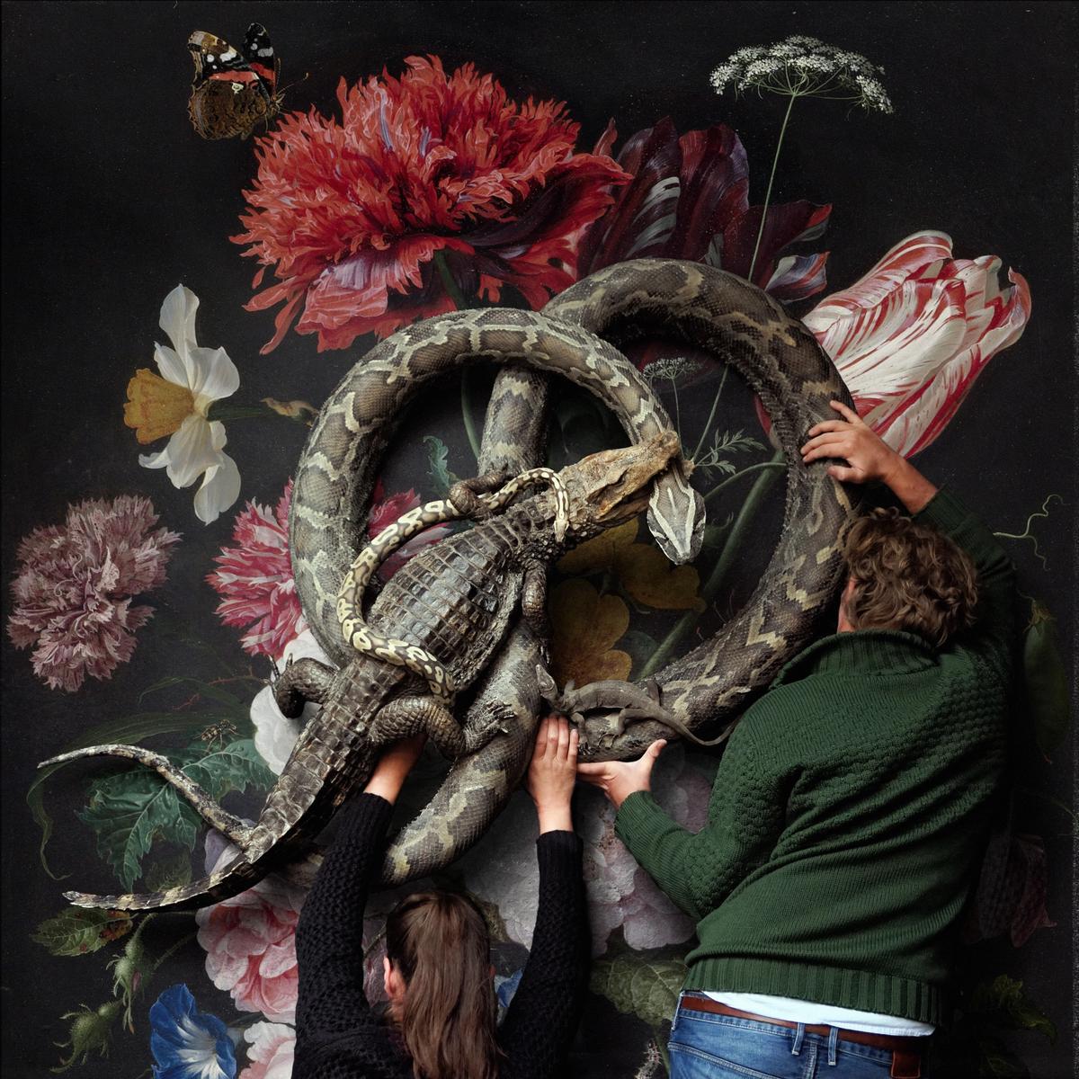 Darwin, Sinke & Van Tongeren, New Masters © Darwin, Sinke & Van Tongeren