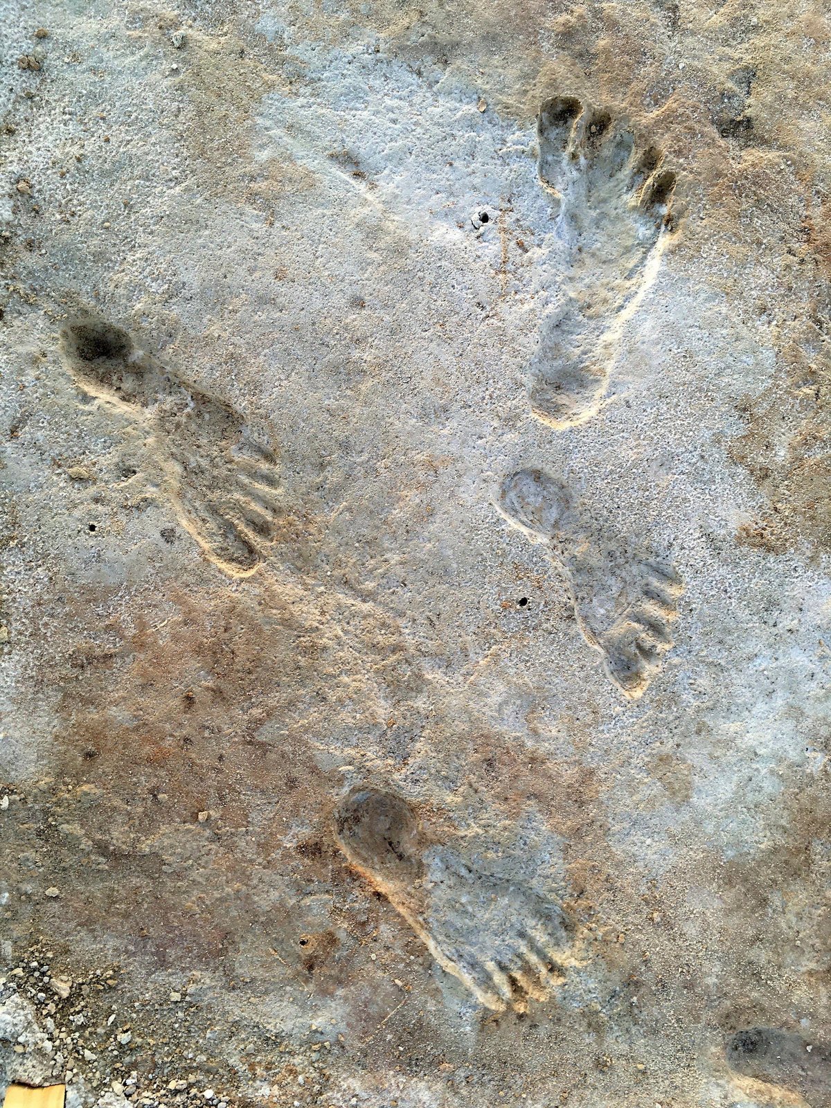 Fossilized Ice Age human footprints set in gypsum mud that hardened to rock between 21,000 and 23,000 years ago in White Sands National Park, New Mexico. The area around the ancient lakebed of Lake Otero is the oldest direct evidence of human presence in the Americas National Park Service / Planetpix / Alamy Stock Photo
