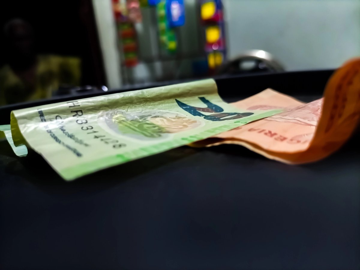 The Nigerian naira has seen some bounceback following favourable policies by the country’s central bank
Photo: Atej2* via Wikimedia Commons