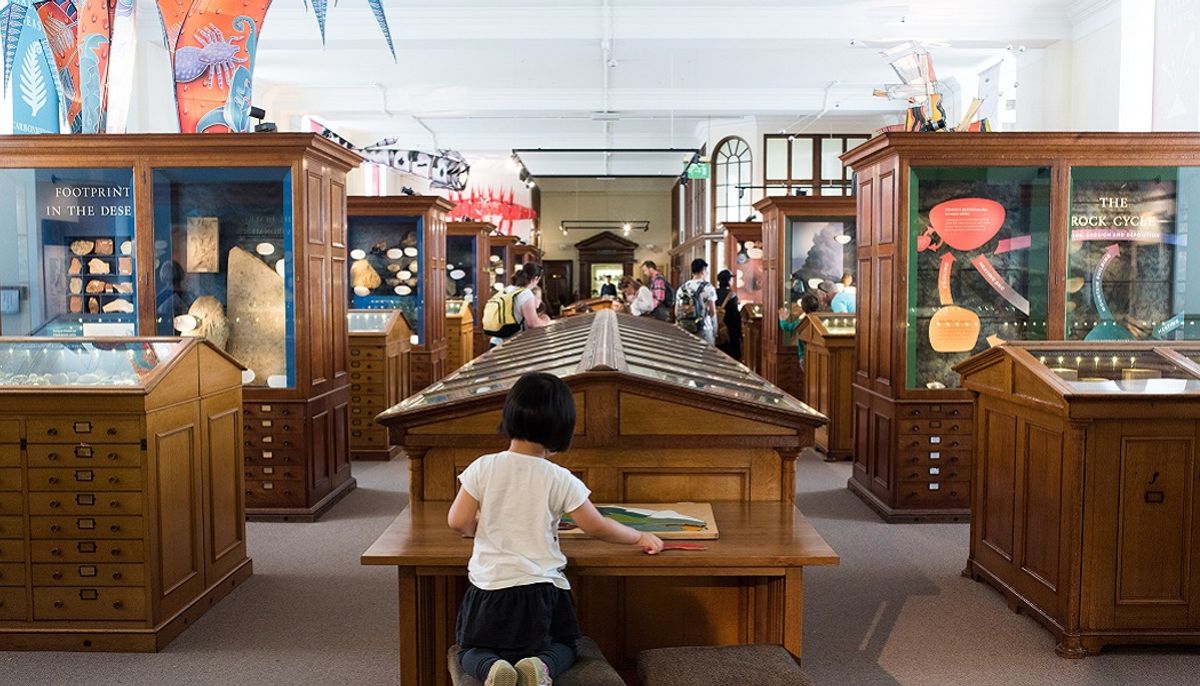 The Sedgwick Museum in Cambridge is one of the beneficiaries of the Arts Council England's grants programme © Sedgwick Museum of Earth Sciences