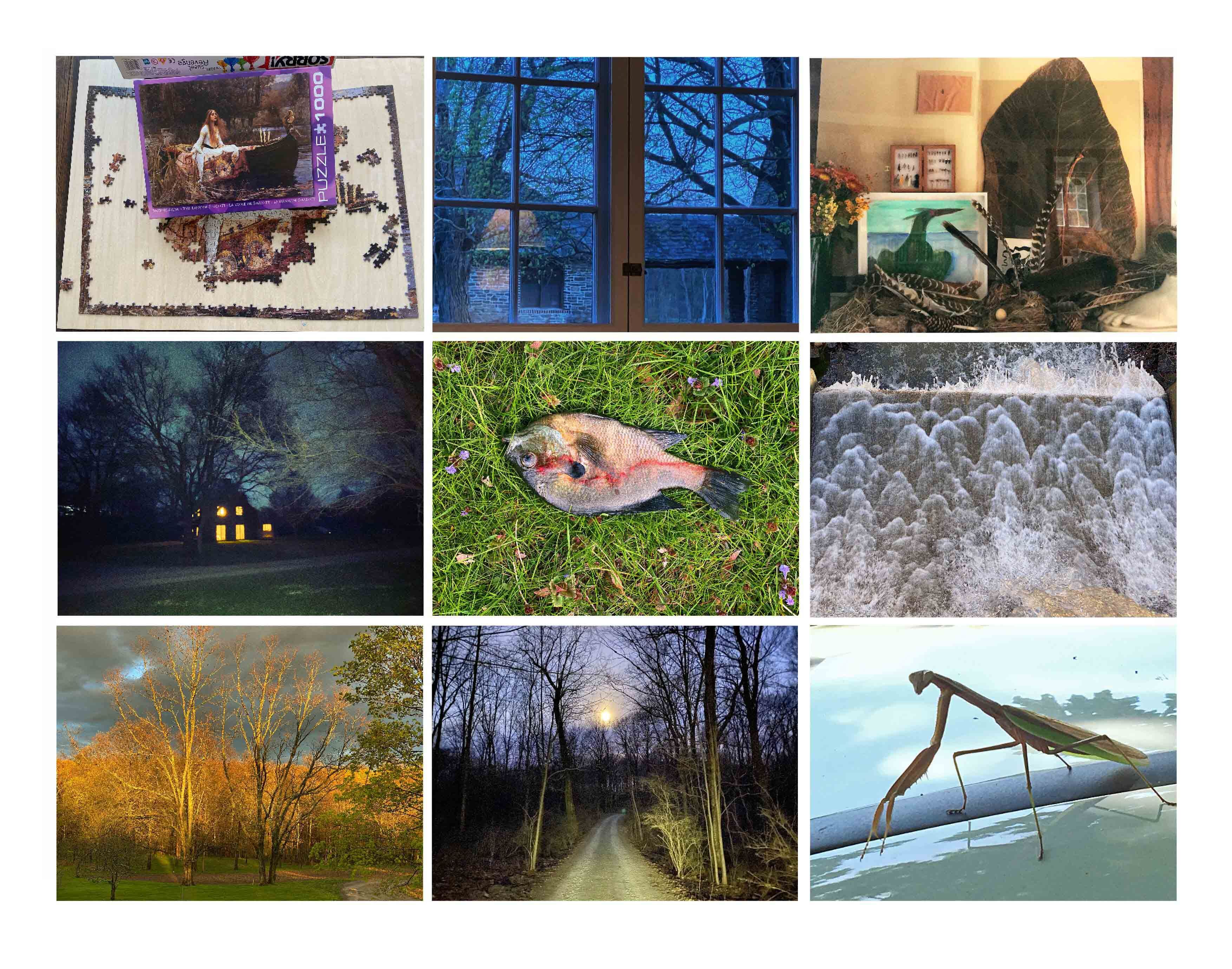 Upstate (2020) by Annie Leibovitz © Annie Leibovitz. Courtesy of the artist and Hauser & Wirth