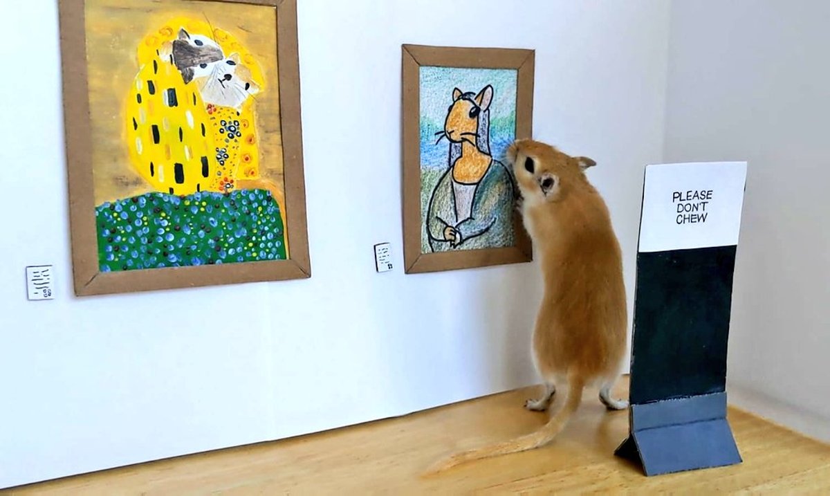 Gerbils notoriously prefer Old Masters to more modern works. Filippo Lorenzin via Twitter