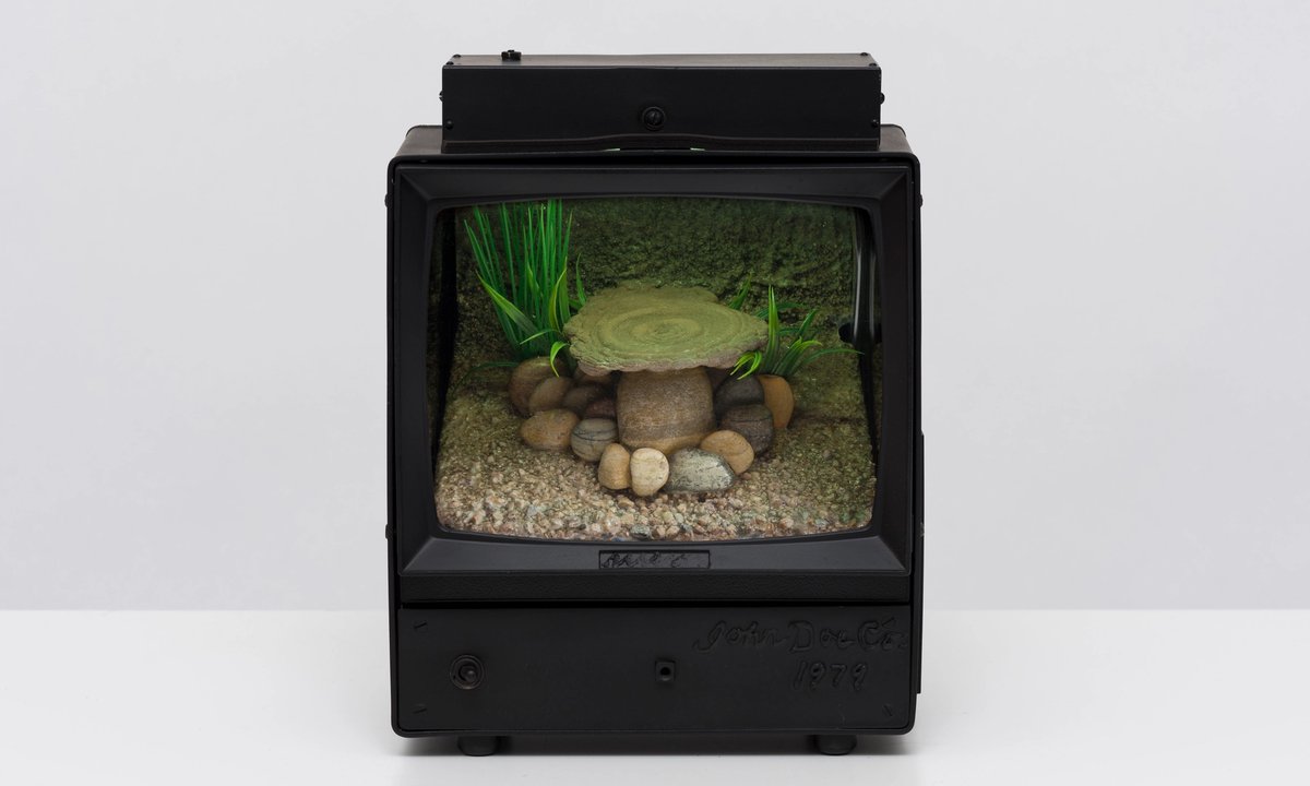 ‘It’s like playing jazz’: Carl Cheng reflects on his ecological investigations at the ICA in Philadelphia – The Art Newspaper ‘It’s like playing jazz’: Carl Cheng reflects on his ecological investigations at the ICA in Philadelphia – The Art Newspaper