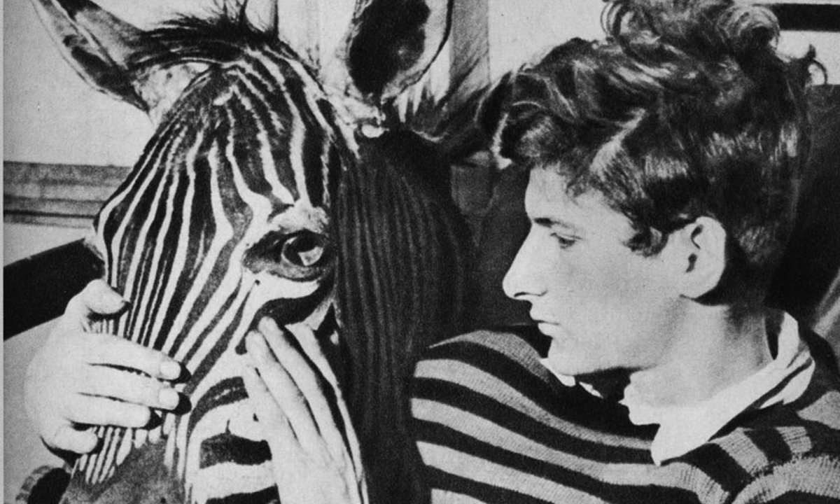 from Lucian Freud’s love letters to an Edie Sedgwick biography from Lucian Freud’s love letters to an Edie Sedgwick biography