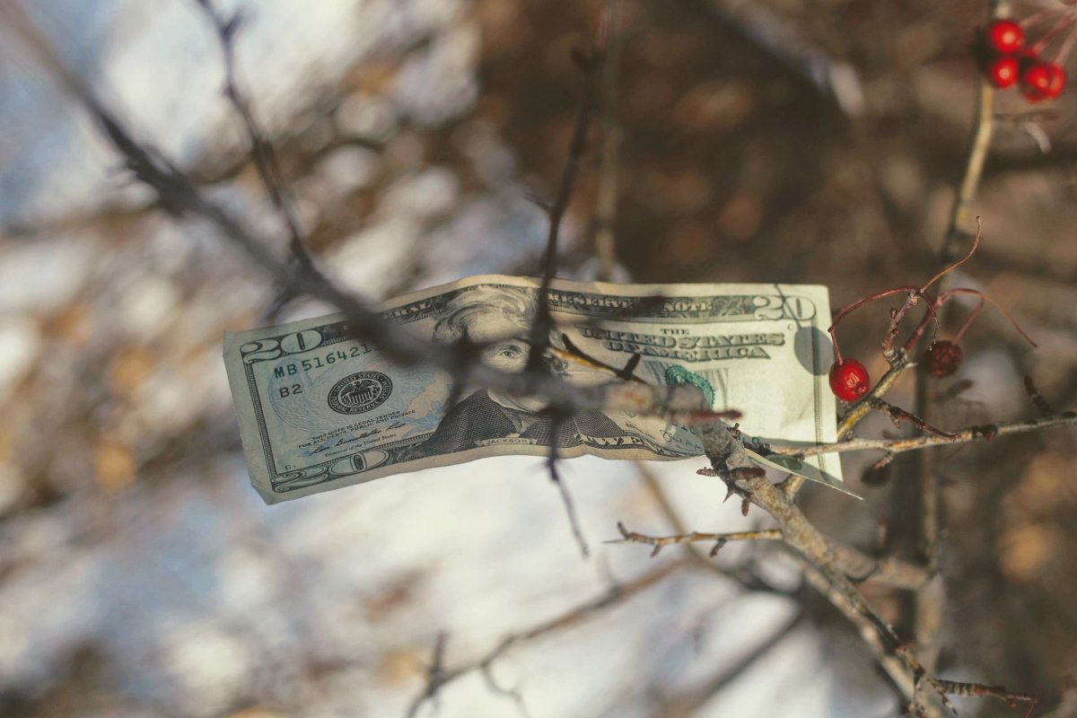 US laws are behind those in the UK and EU when it comes to money-laundering. But things are changing
Photo: Joshua Hoehne