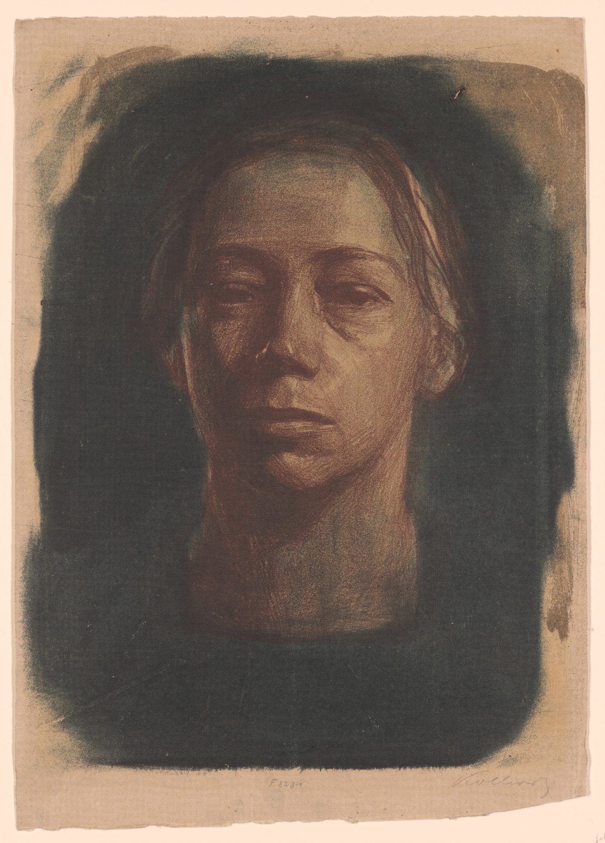 Käthe Kollwitz, Self-portrait en face (1904). Edition: one of 12 known impressions. Courtesy The Museum of Modern Art, New York. Jointly owned by The Museum of Modern Art, New York, and Neue Galerie, New York.