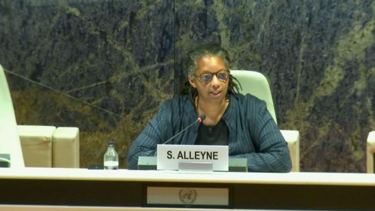 Sonita Alleyne speaking at the United Nations Working Group of Experts on People of African Descent yesterday

Photo: United Nations