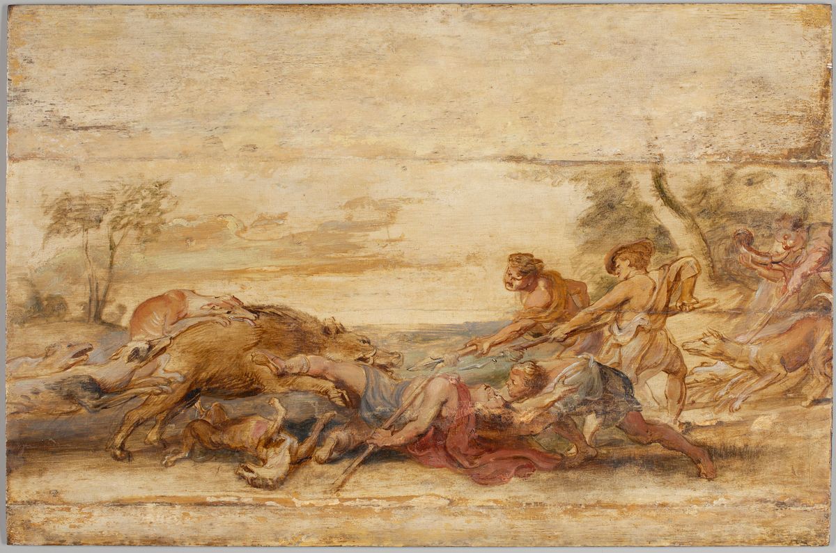 Peter Paul Rubens's Death of Adonis (1639) after the removal of layers of overzealous restoration work Courtesy the Princeton University Art Museum