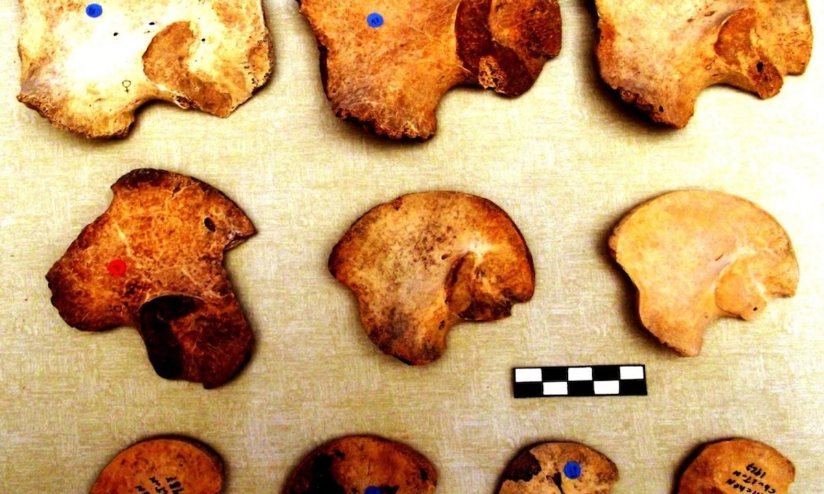 New study of skeletons at Chichén Itzá rewrites history of ancient Maya child sacrifice New study of skeletons at Chichén Itzá rewrites history of ancient Maya child sacrifice