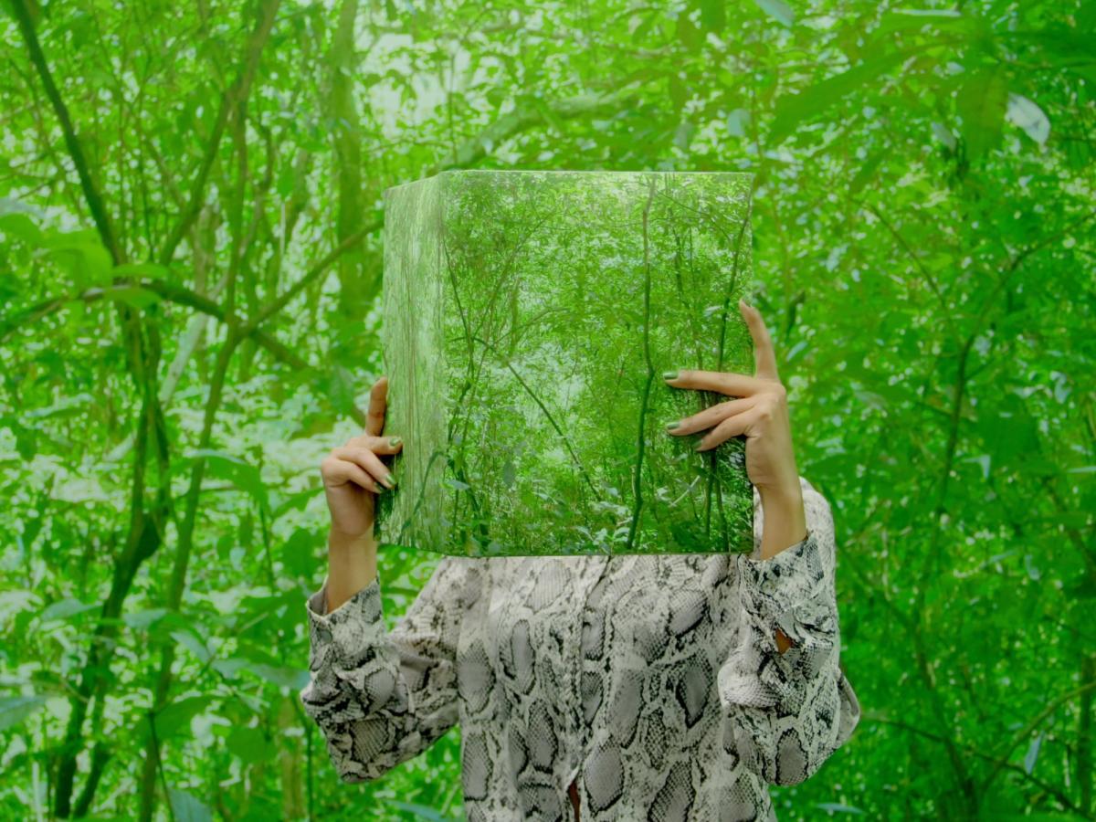 A still from Ma Haijiao's video If we delete green, if we start caring about plants (2019-2020) on show with Tabula Rasa at Asia Now Courtesy of the artist and Tabula Rasa