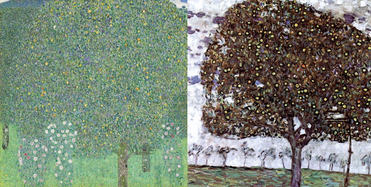 Klimt’s Roses under Trees (1905, left), in the Musée d’Orsay, was apparently confused with Apple Tree II (1916, right) Roses Under Trees: Courtesy of the Musée d’Orsay