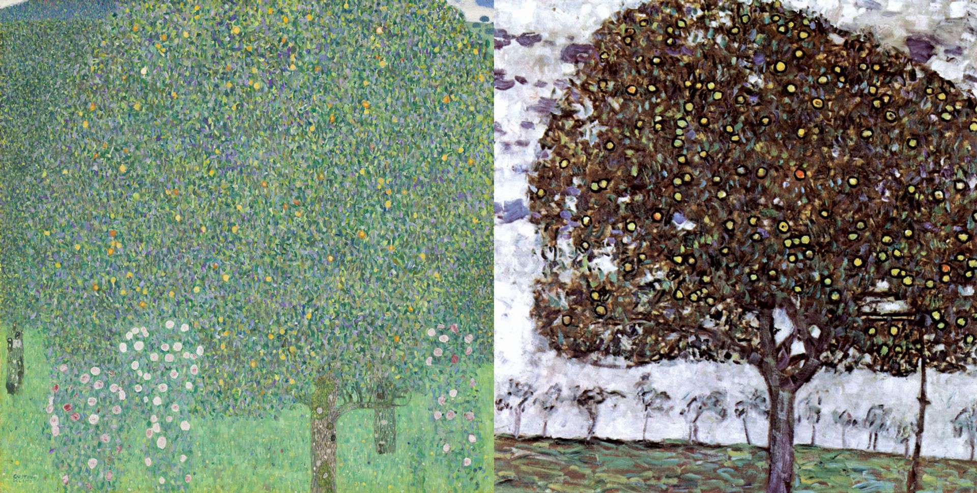 Klimt’s Roses under Trees (1905, left), in the Musée d’Orsay, was apparently confused with Apple Tree II (1916, right) Roses Under Trees: Courtesy of the Musée d’Orsay