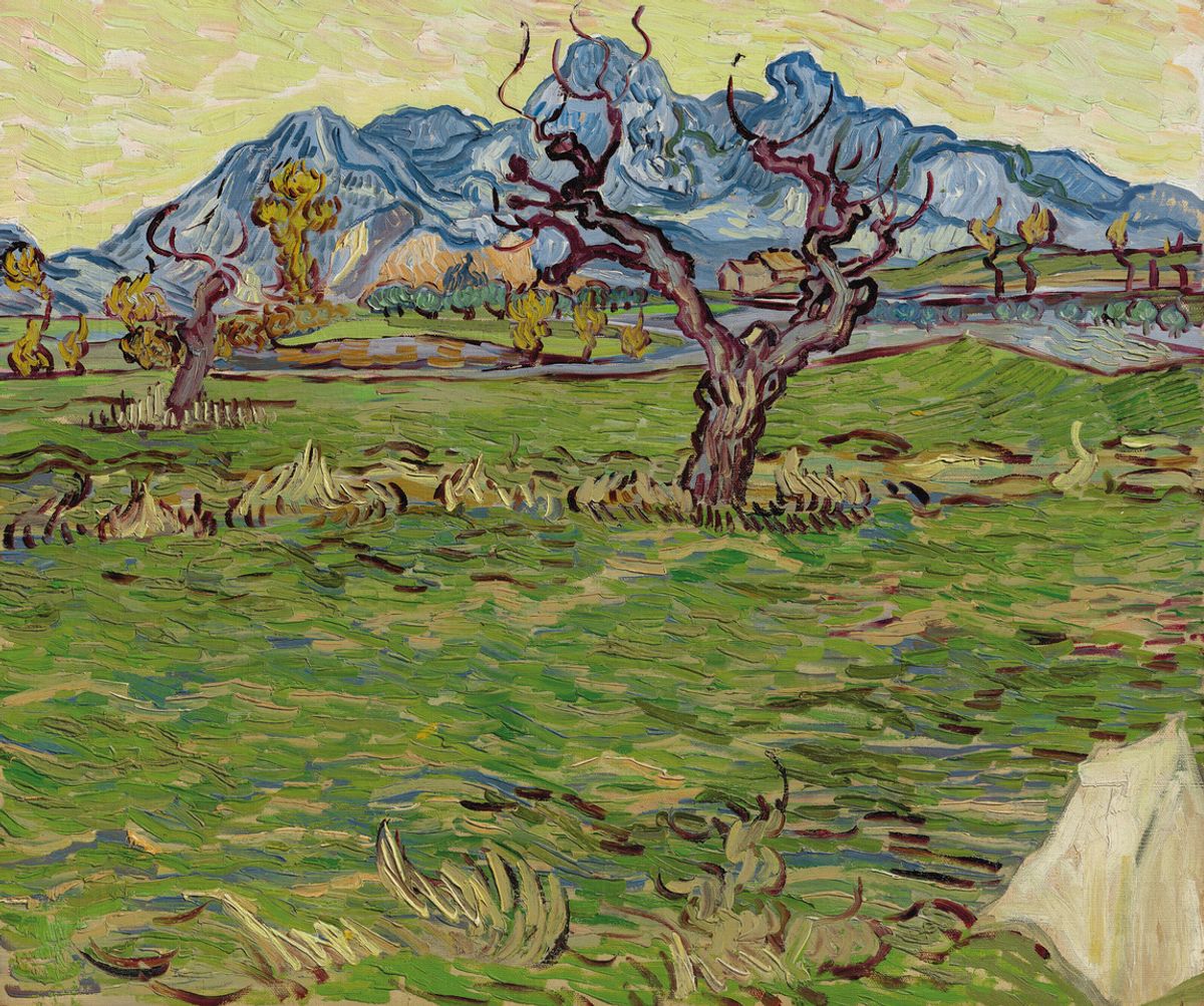 Van Gogh’s Fields near the Alpilles (Champs près des Alpilles) (November 1889) Credit: Christie’s