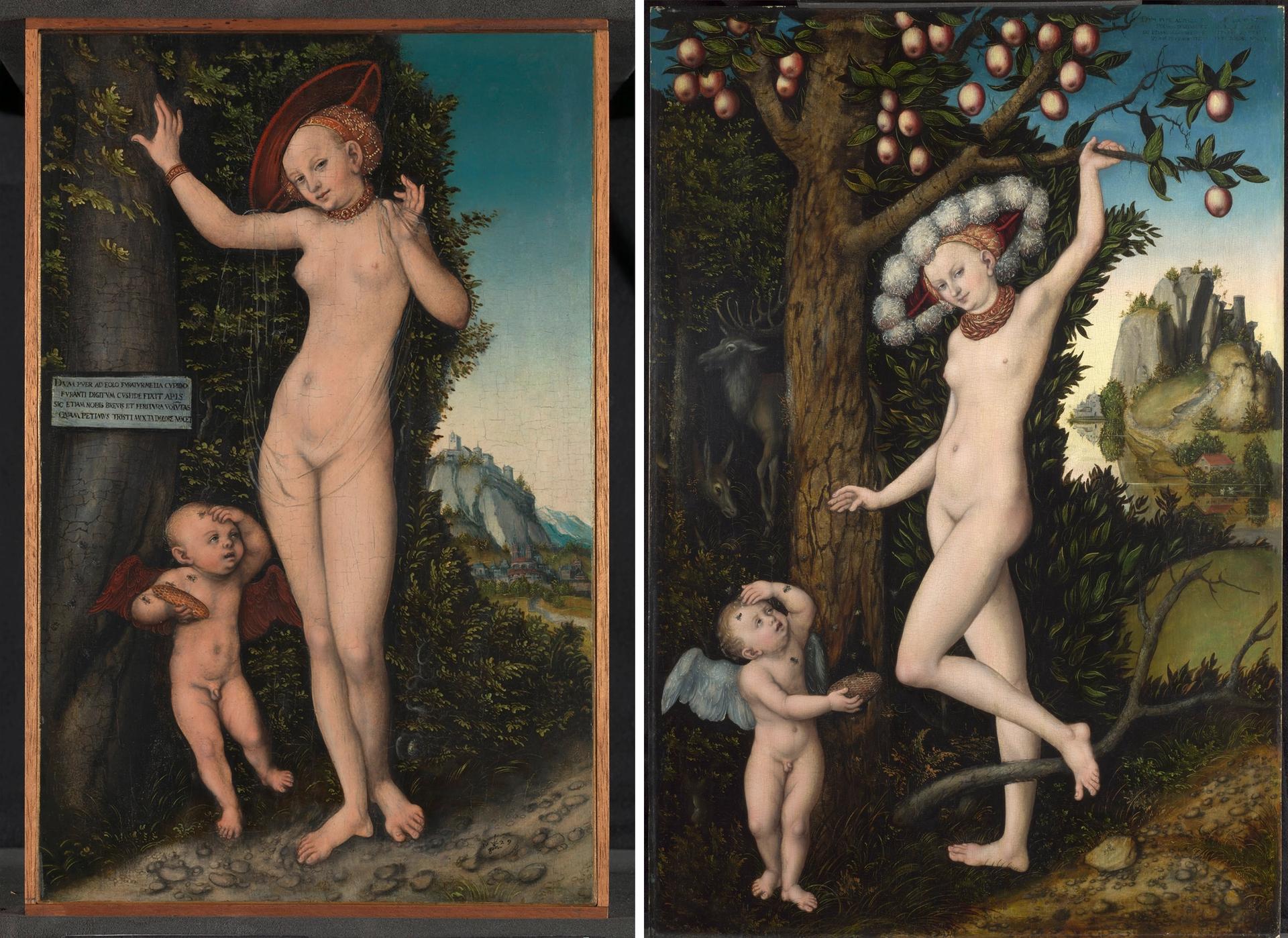 Left: the newly acquired Venus and Cupid by Lucas Cranach the Elder (1529) and; right: the artist's Cupid complaining to Venus (around 1525), which was purchased in 1963 © The National Gallery, London