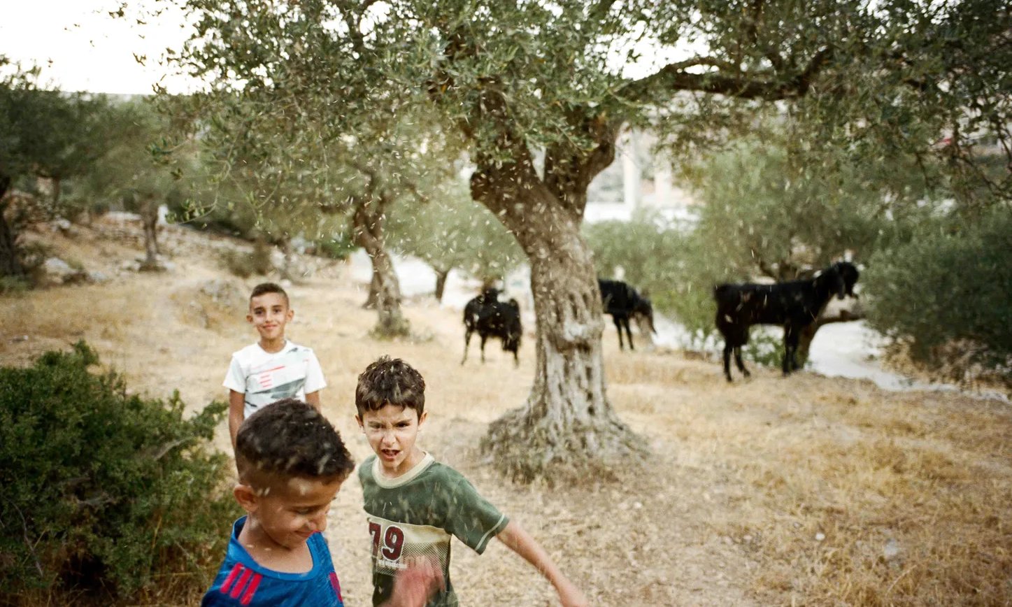 Beyond war: photographer captures everyday Palestinian life - Vimarsana News